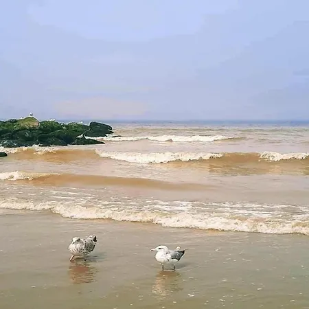 In Near The Beach, Cleaning Included 아파트